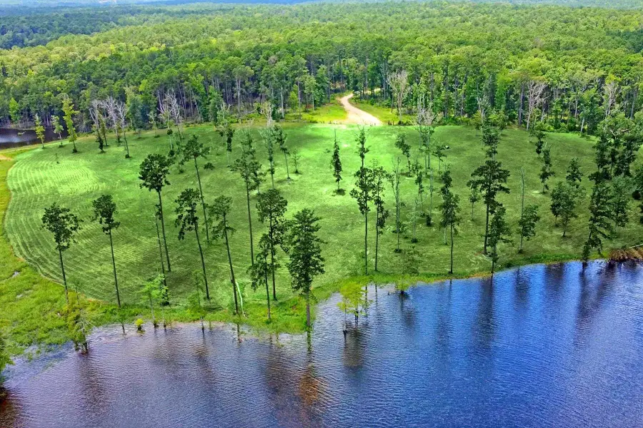 03 Cr 2178, Burkeville, TX 75932 - #3