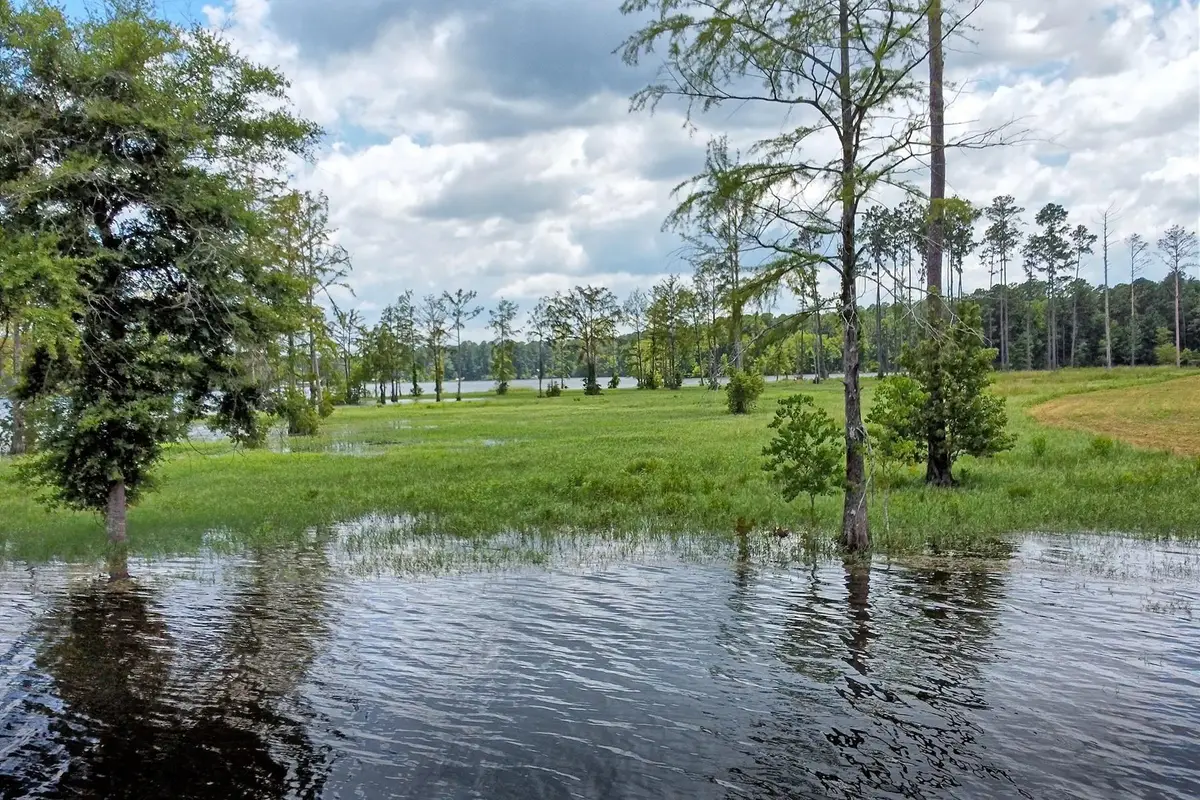 05 Cr 2178, Burkeville, TX 75932 - #1