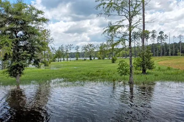 05 Cr 2178, Burkeville, TX 75932