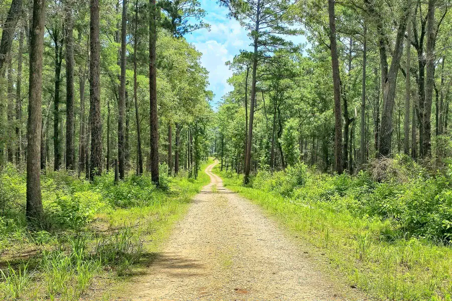 05 Cr 2178, Burkeville, TX 75932 - #3