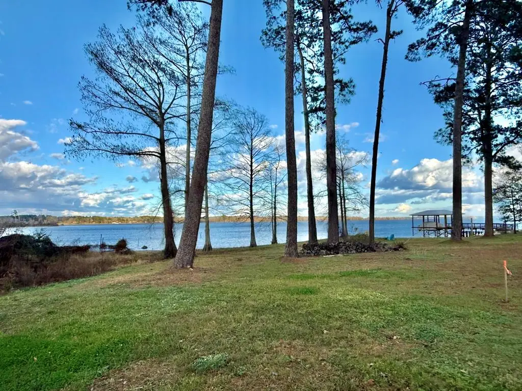 661 A Playcation Shores South, Milam, TX 75959 - #1