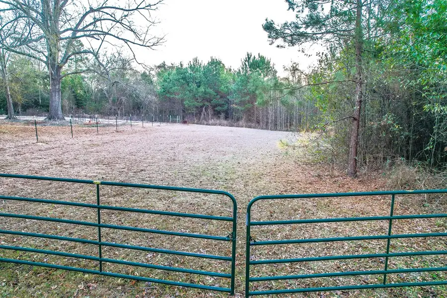 Parcel # 141539 Barge Road, Zavalla, TX 75980 - #3