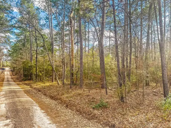 Parcel 55065 Garrison St, Zavalla, TX 75980