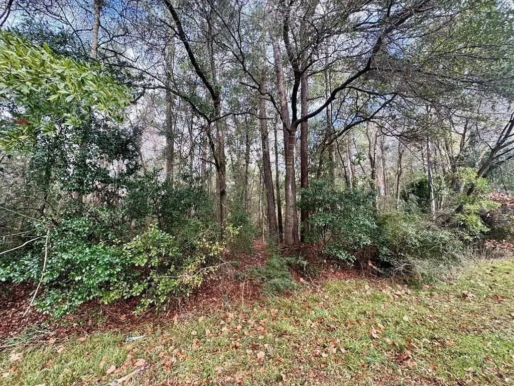 R30526 Fm 92, Woodville, TX 75979 - #1