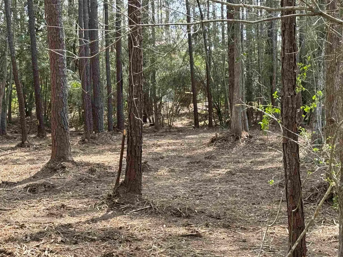 Lot 087 Pinehurst Drive, Brookeland, TX 75931 - #1