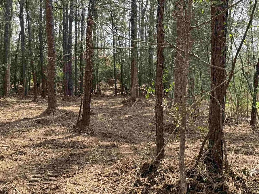 Lot 087 Pinehurst Drive, Brookeland, TX 75931 - #3
