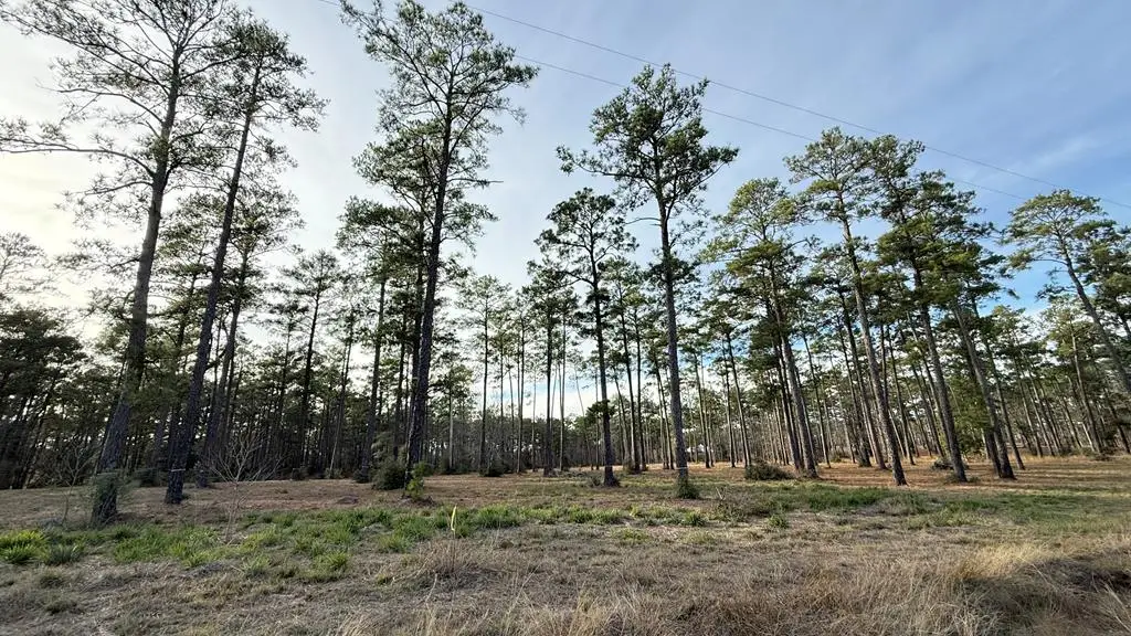 775 Private Rd 6026, Brookeland, TX 75931 - #1
