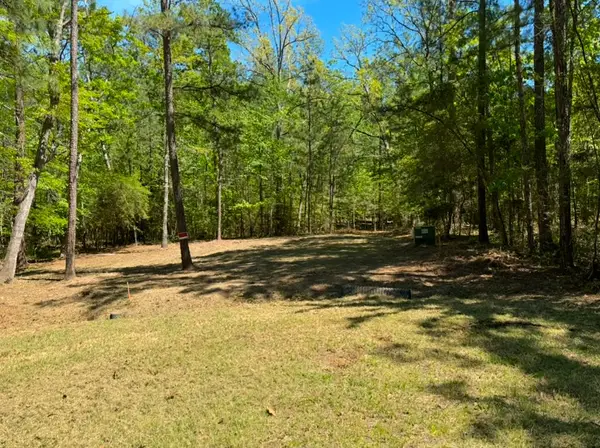 Lot 38 & 39 Dingy Lane, Brookeland, TX 75931