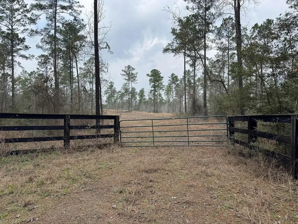 PID 28084 County Divide Road, Pineland, TX 75968 - #1