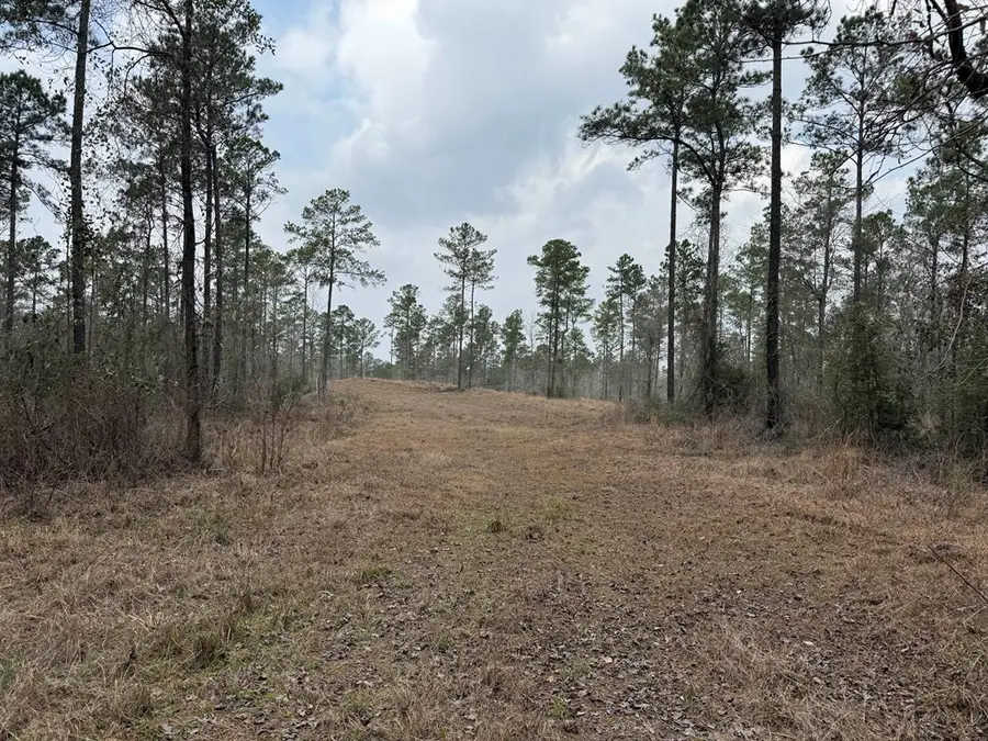 PID 28084 County Divide Road, Pineland, TX 75968 - #2