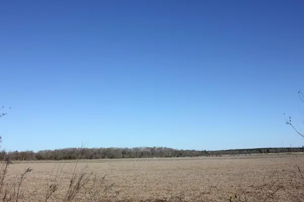PID 38061 Cotton Thompson Road, Lufkin, TX 75901