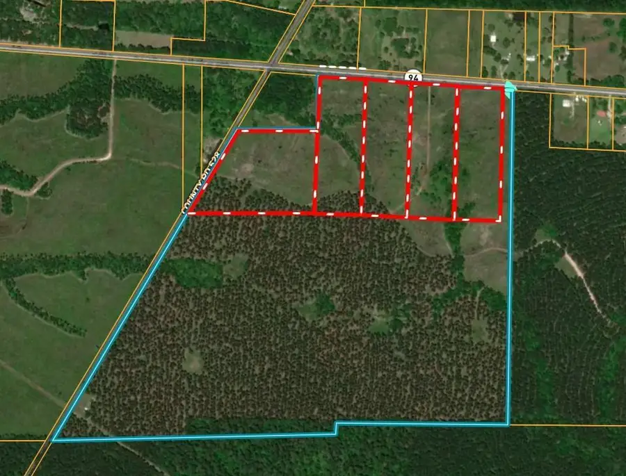 9770 N State Hwy 94, Groveton, TX 75845 - #2