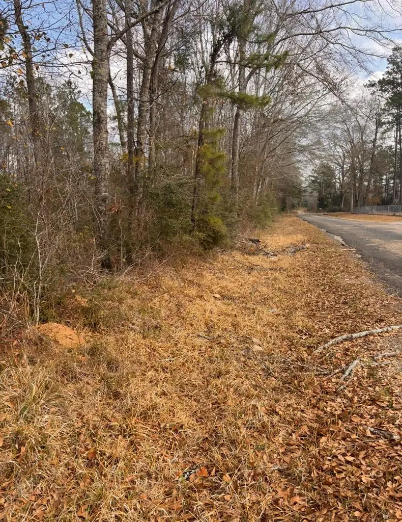 15.45 AC County Road 434, Jasper, TX 75951 - #1