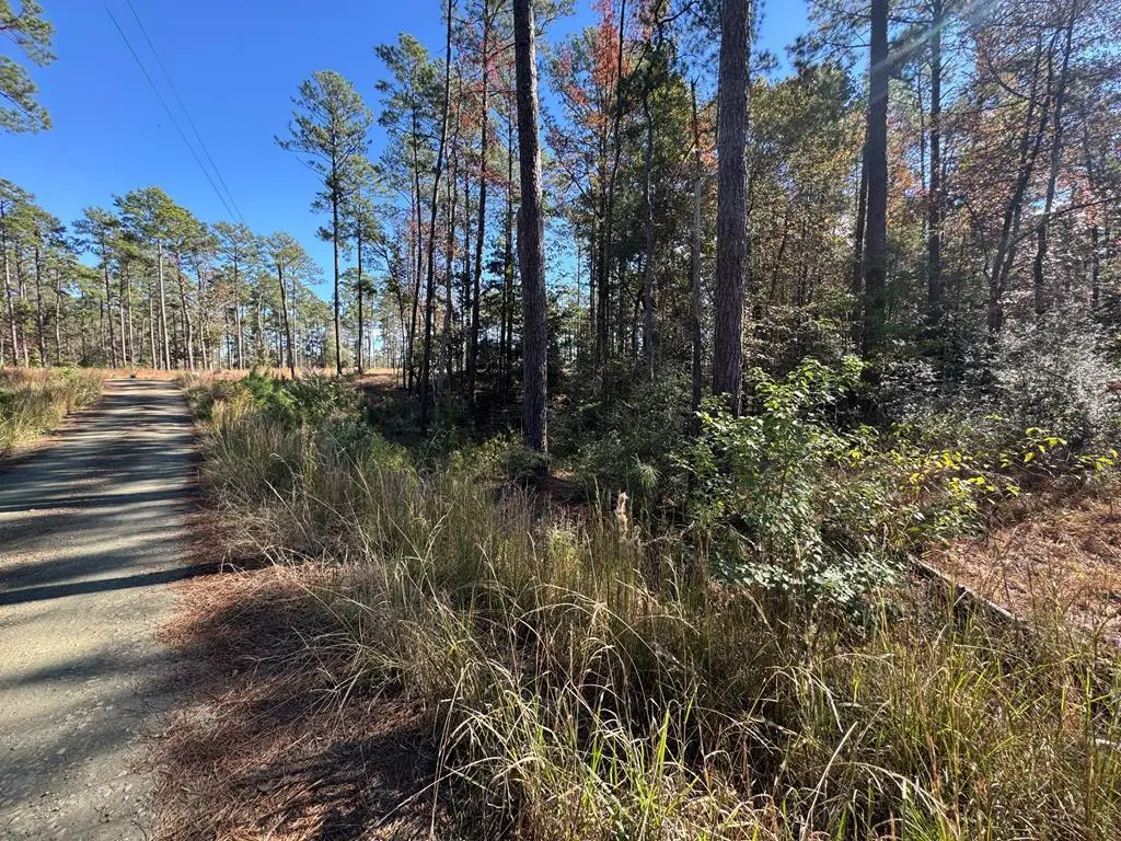 Lot 057 Pr 6028, Brookeland, TX 75931 - #1