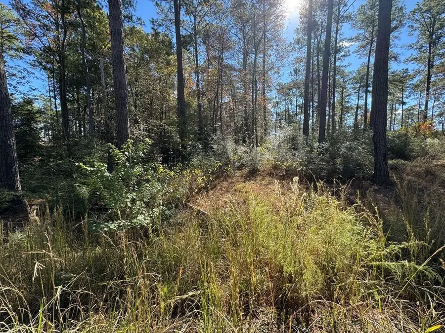 Lot 057 Pr 6028, Brookeland, TX 75931 - #2