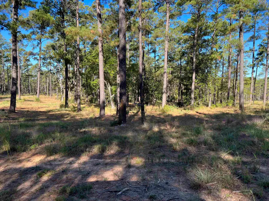 Lot 057 Pr 6028, Brookeland, TX 75931 - #3