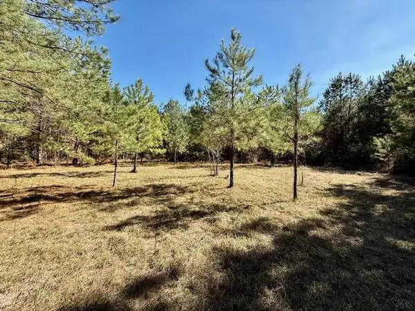 1133 County Road 3064, Kirbyville, TX 75951