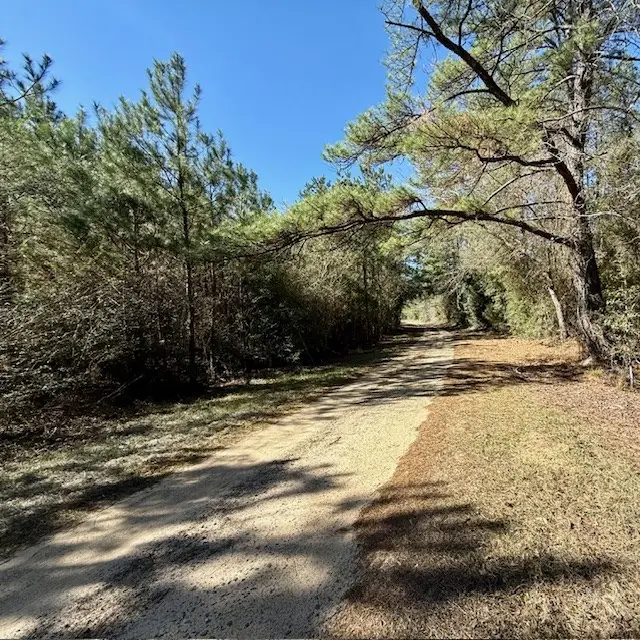 1133 County Road 3064, Call, TX 75951 - #2