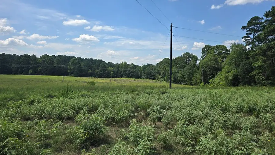 Lots 1- 9 Cr 3203, Mount Enterprise, TX 75681 - #2