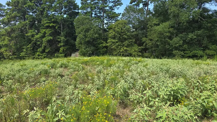 Lots 1- 9 Cr 3203, Mount Enterprise, TX 75681 - #3