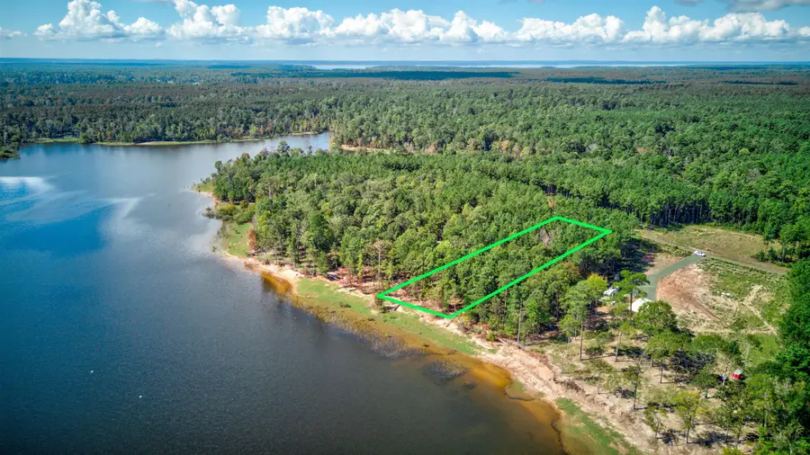 Tract 115 Eagle's Landing, Broaddus, TX 75929 - #2