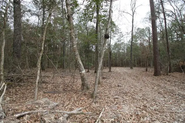 R 12227 Plantation Drive, Lufkin, TX 75901