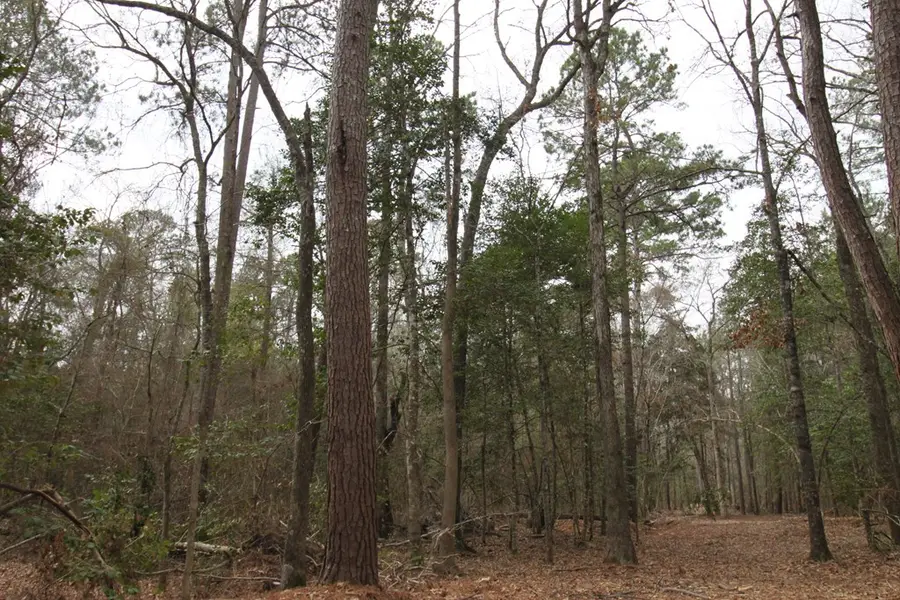 R 12227 Plantation Drive, Lufkin, TX 75901 - #2