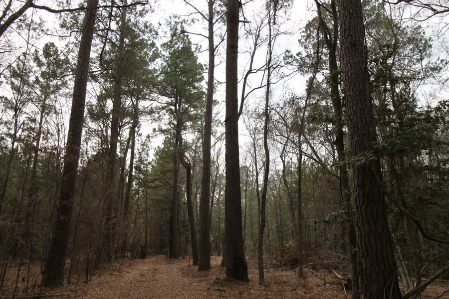 R 12227 Plantation Drive, Lufkin, TX 75901 - #3