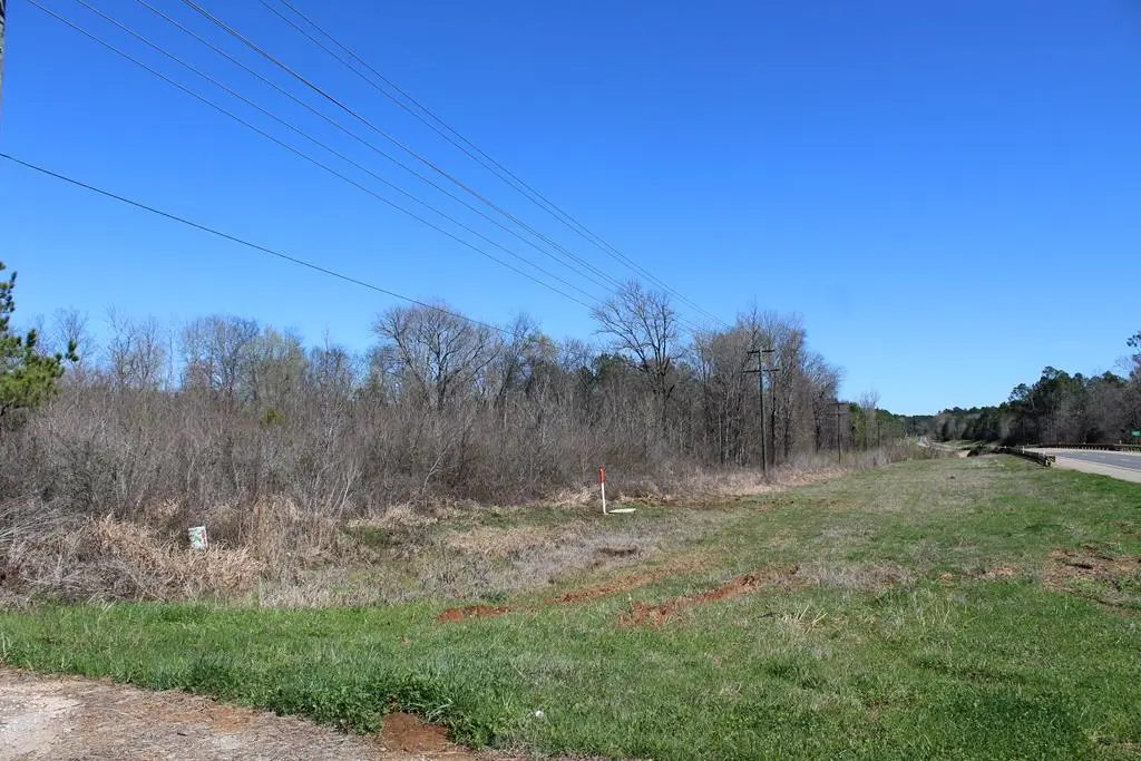 Parcel 17491 Hwy 21w, San Augustine, TX 75972 - #1