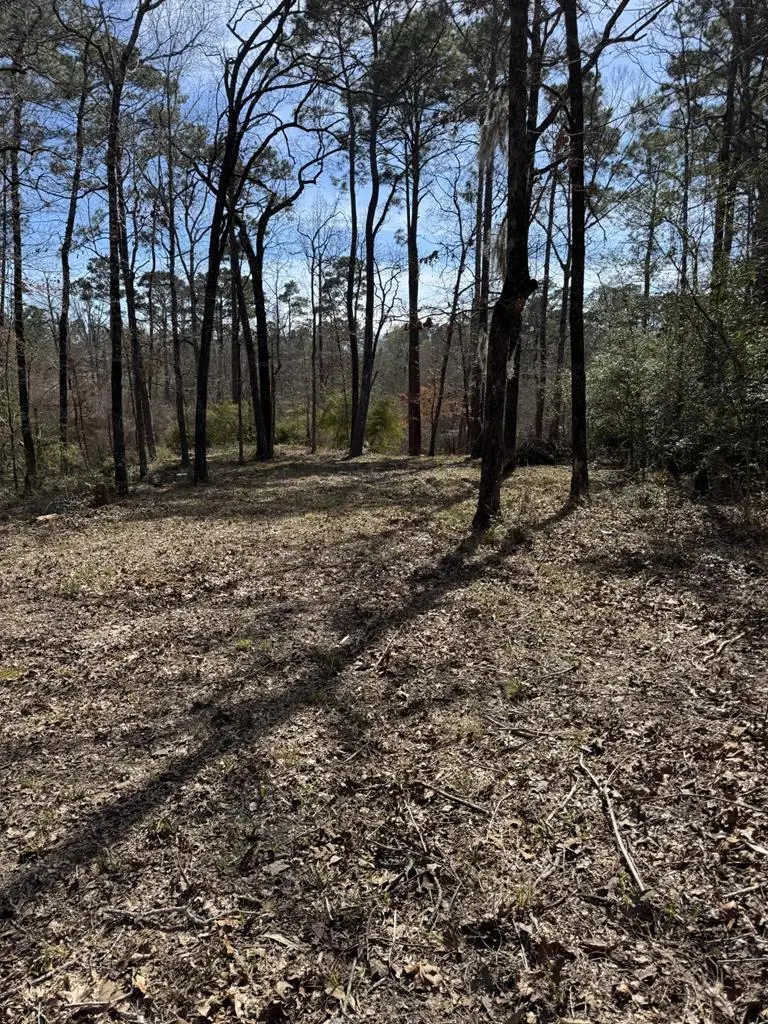477 Pr 7830, Broaddus, TX 75929 - #1
