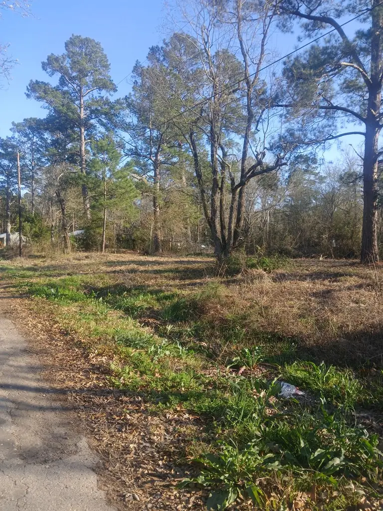 45698 Maple, Huntington, TX 75949 - #3