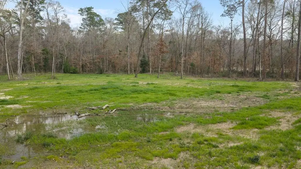16018 Lot 4 Davisville Road, Lufkin, TX 75901 - #1