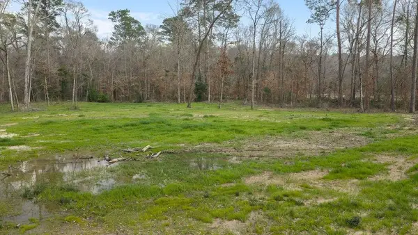 16018 Lot 4 Davisville Road, Lufkin, TX 75901