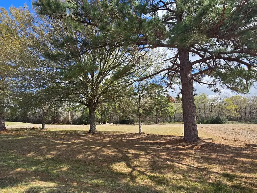 R32465 New Orleans Ave, Trinity, TX 75862 - #2