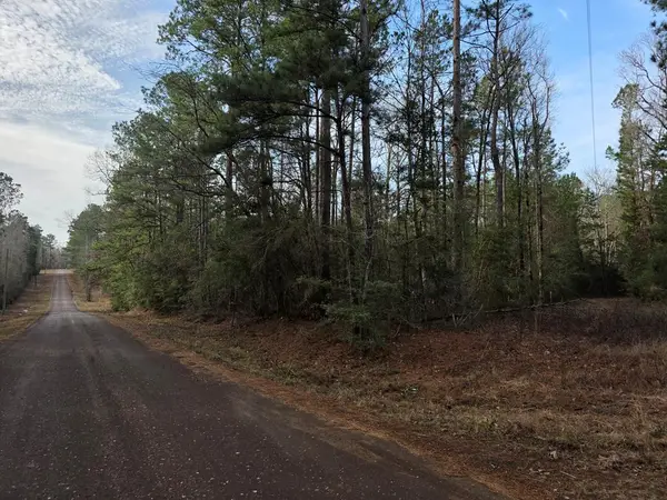 728 County Road 3240, Colmesneil, TX 75938