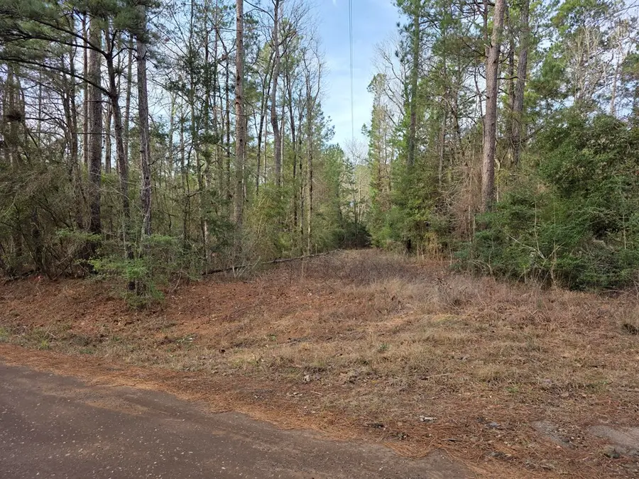 728 County Road 3240, Colmesneil, TX 75938 - #2