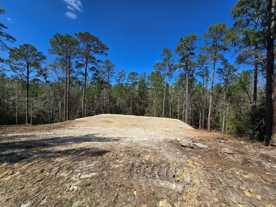 173 Red Squirrel Drive, Brookeland, TX 75931 - #2