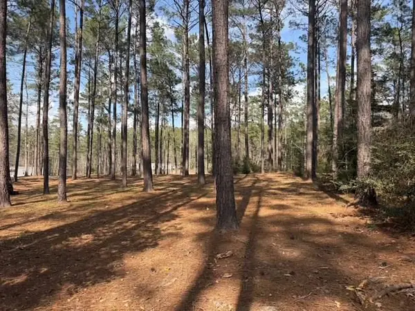 182 Private Rd 6009, Brookeland, TX 75931