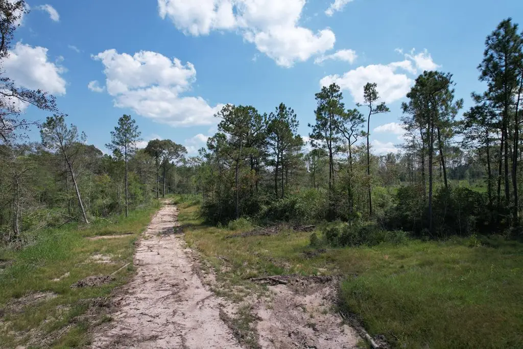 37357 Highway 69 S, Zavalla, TX 75980 - #1