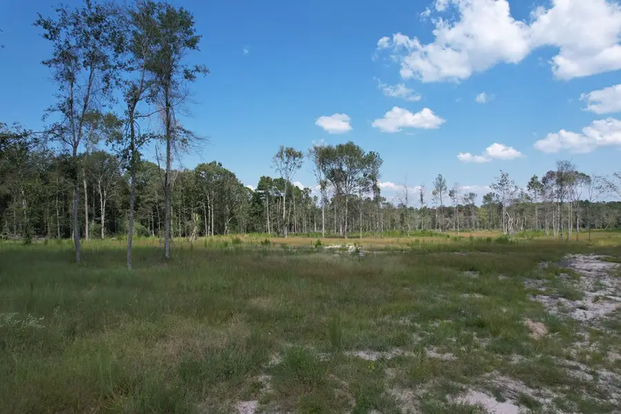 37357 Highway 69 S, Zavalla, TX 75980 - #3