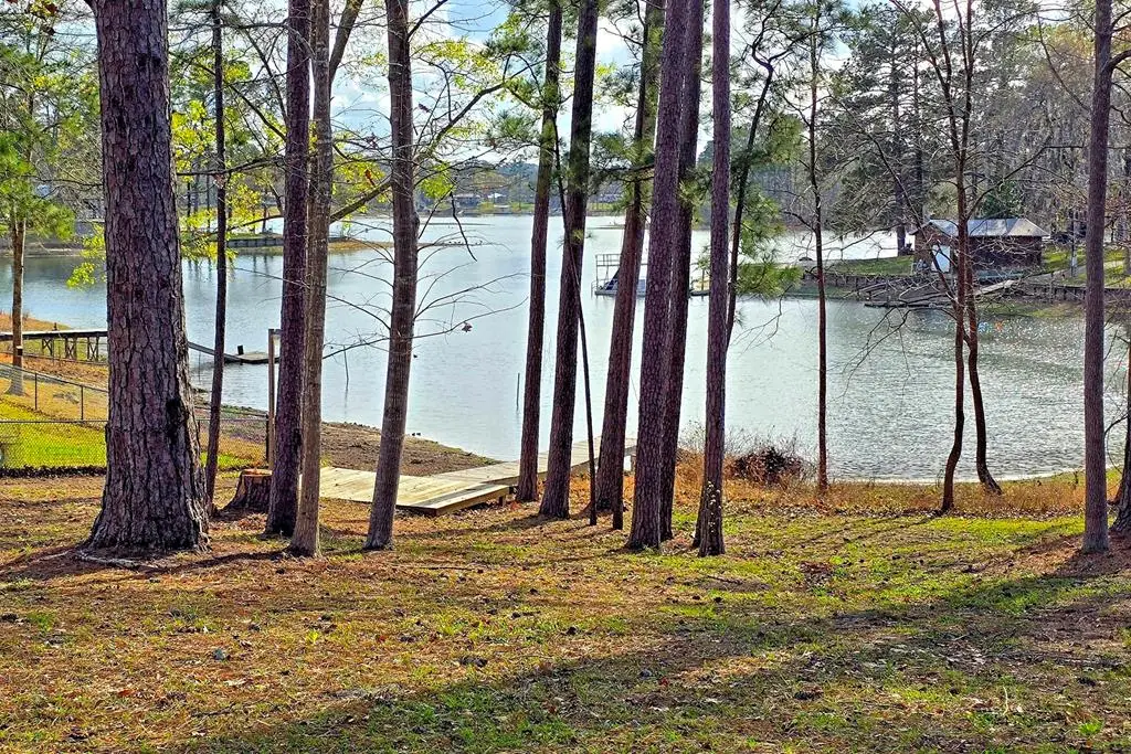 615 Hickory Hill Drive, Burkeville, TX 75932 - #1