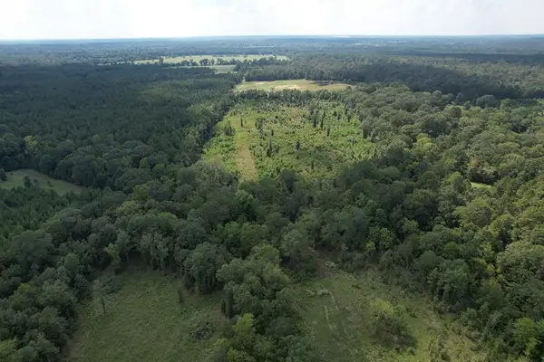 (R153782) Pahal Road, Huntington, TX 75949