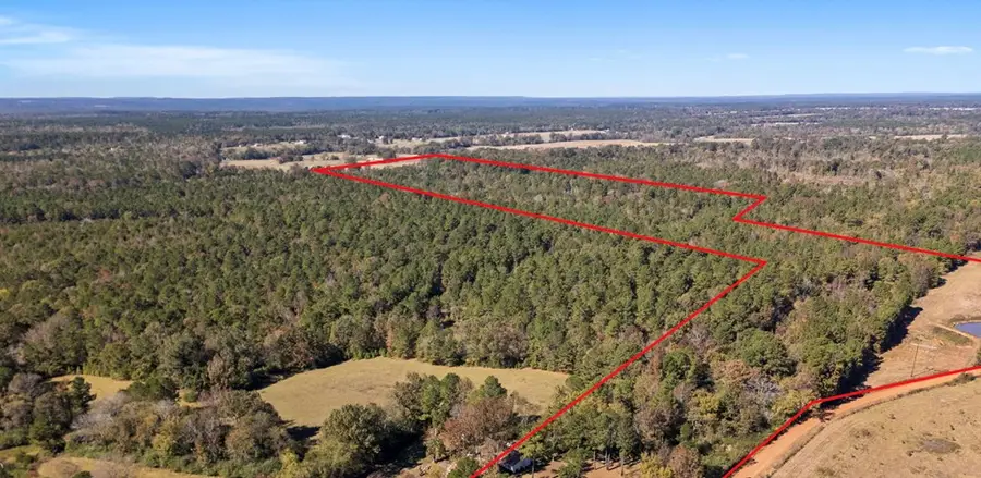 281 Cr 847, Cushing, TX 75760 - #2