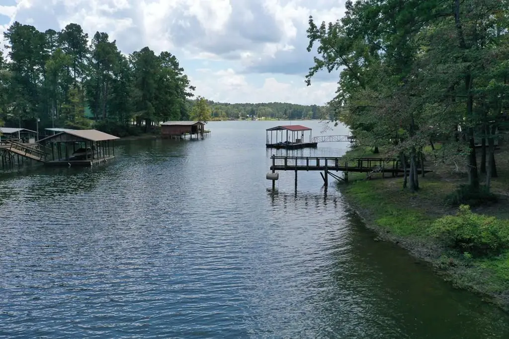 375 S Evergreen Drive, South Toledo Bend, TX 75930 - #1