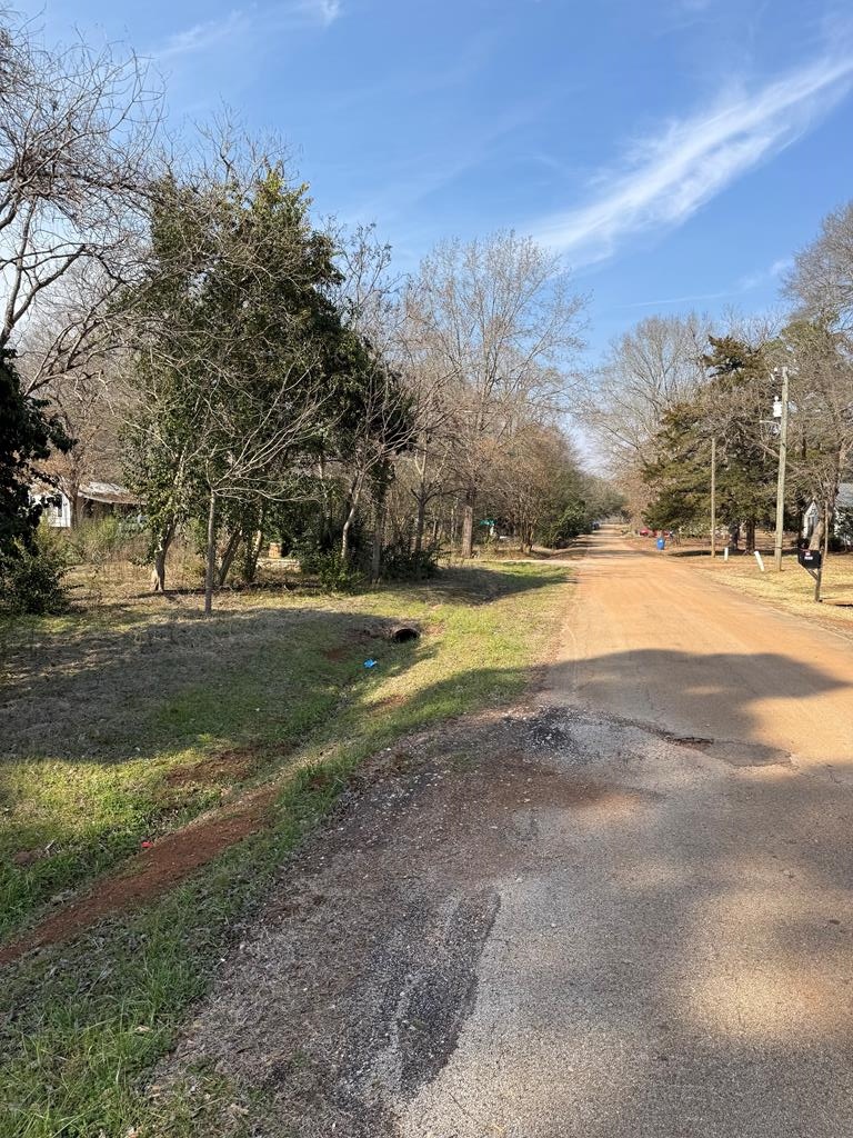 LOT 5&6 Pecan Street, San Augustine, TX 75972 - #1
