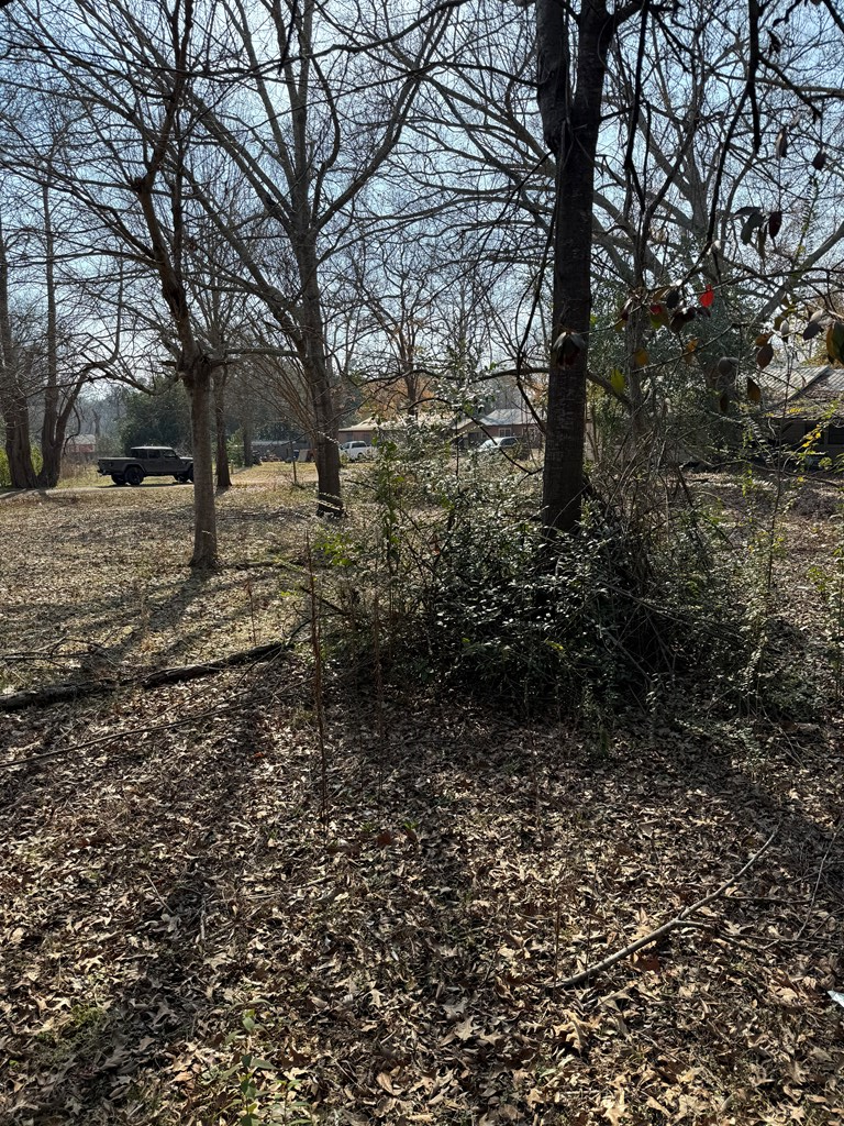 LOT 5&6 Pecan Street, San Augustine, TX 75972 - #2