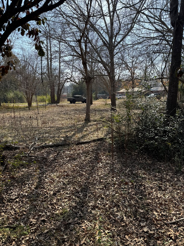 LOT 5&6 Pecan Street, San Augustine, TX 75972 - #3