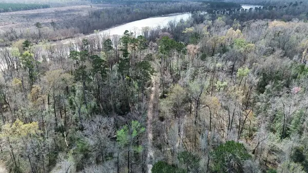 16.97AC - Tract Cr 4081, Bon Wier, TX 75928