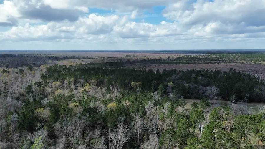 16.97AC - Tract Cr 4081, Bon Wier, TX 75928 - #3