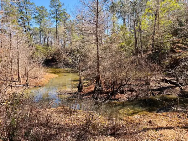 302 Eagle Lane, Burkeville, TX 75932